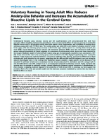 Voluntary Running in Young Adult Mice Reduces AnxietyLike Behavior and Increases the Accumulation of Bioactive Lipids in the Cerebral Cortex
