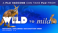 A Flu Vaccine Can Take Flu from Wild to Mild National Influenza Vaccination Week December 48 KangarooRabbit