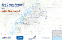 500 Cities Project Local Data for Better Health 2016 Lake Charles LA