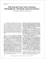 Pig Herds Free from Human Pathogenic Yersinia enterocolitica1