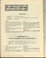 Pictorial review Spraytime