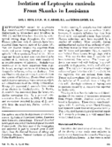 Isolation of Leptospira canicola from skunks in Louisiana