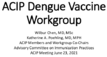 ACIP Dengue Vaccine Workgroup