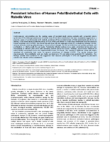Persistent Infection of Human Fetal Endothelial Cells with Rubella Virus