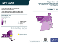 NY Congressional District 20 Stroke and Federally Qualified Health Centers Map 119th Congress