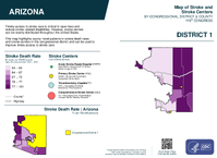 AZ Congressional District 01 Stroke and Stroke Centers Map 119th Congress