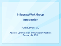 Influenza Work Group introduction