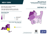 NY Congressional District 19 Stroke and Federally Qualified Health Centers Map 119th Congress