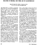 Isolation of Brucella suis from air of slaughterhouse