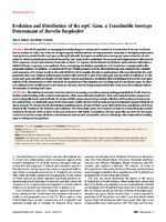 Evolution and Distribution of the ospC Gene a Transferable Serotype Determinant of Borrelia burgdorferi