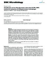 Identification of two Mycobacterium tuberculosis H37Rv ORFs involved in resistance to killing by human macrophages