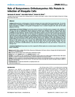 Role of Bunyamwera Orthobunyavirus NSs Protein in Infection of Mosquito Cells