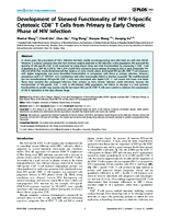 Development of Skewed Functionality of HIV1Specific Cytotoxic CD8 T Cells from Primary to Early Chronic Phase of HIV Infection