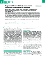 Sugarcane workweek study mechanisms underlying daily changes in creatinine