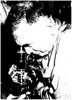 Public Health Rep v 73 no 11  Masthead