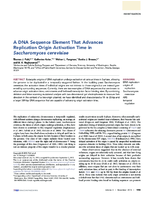 A DNA Sequence Element That Advances Replication Origin Activation Time in Saccharomyces cerevisiae