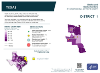 TX Congressional District 01 Stroke and Stroke Centers Map 118th Congress