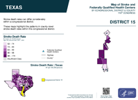 TX Congressional District 15 Stroke and Federally Qualified Health Centers Map 119th Congress