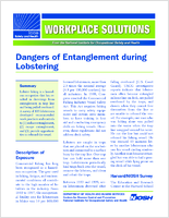 Dangers of Entanglement During Lobstering