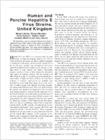 Human and Porcine Hepatitis E Virus Strains United Kingdom