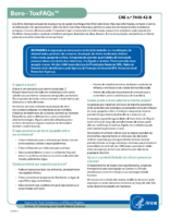 Boro  CAS no 7440428