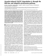 ArseniteInduced Cdc25C Degradation Is Through the KENBox and UbiquitinProteasome Pathway