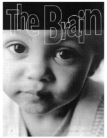 The brain and child development time for some critical thinking