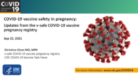 COVID19 vaccine safety in pregnancy  updates from the vsafe COVID19 vaccine pregnancy registry