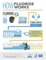 How Fluoride Works 2014