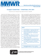 Changes in suicide rates  United States 20182019