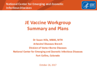 JE Vaccine Workgroup Summary and Plans