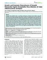 Genetic and Anatomic Determinants of Enzootic Venezuelan Equine Encephalitis Virus Infection of Culex Melanoconion taeniopus