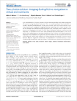 Twophoton calcium imaging during fictive navigation in virtual environments