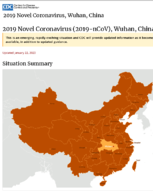 2019 Novel Coronavirus 2019nCoV Wuhan China situation summary updated January 22 2020