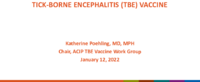 Tickborne encephalitis TBE vaccine