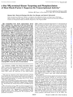 CJun NH2Terminal Kinase Targeting and Phosphorylation of Heat Shock Factor1 Suppress Its Transcriptional Activity