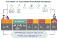 Monitoring and Care for Babies Born to Mothers with Zika During Pregnancy CDC Vital Signs August 7 2018