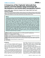 A Comparison of NonTyphoidal Salmonella from Humans and Food Animals Using PulsedField Gel Electrophoresis and Antimicrobial Susceptibility Patterns