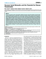 Raccoon Social Networks and the Potential for Disease Transmission