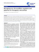 Microprocessor of microRNAs regulation and potential for therapeutic intervention