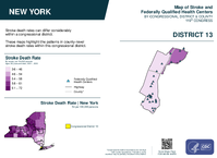 NY Congressional District 13 Stroke and Federally Qualified Health Centers Map 119th Congress