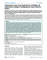 Independent Large Scale Duplications in Multiple M tuberculosis Lineages Overlapping the Same Genomic Region