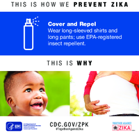 This is how we prevent Zika  cover and repel