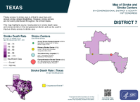 TX Congressional District 07 Stroke and Stroke Centers Map 119th Congress