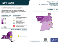 NY Congressional District 20 Stroke and Stroke Centers Map 119th Congress