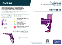 FL Congressional District 22 Stroke and Stroke Centers Map 119th Congress