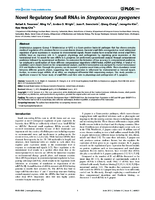 Novel Regulatory Small RNAs in Streptococcus pyogenes