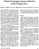 Natural Leptospira pomona infection in the pampas cavy