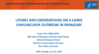 Update and observations on a large chikungunya outbreak in Paraguay