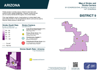 AZ Congressional District 09 Stroke and Stroke Centers Map 119th Congress